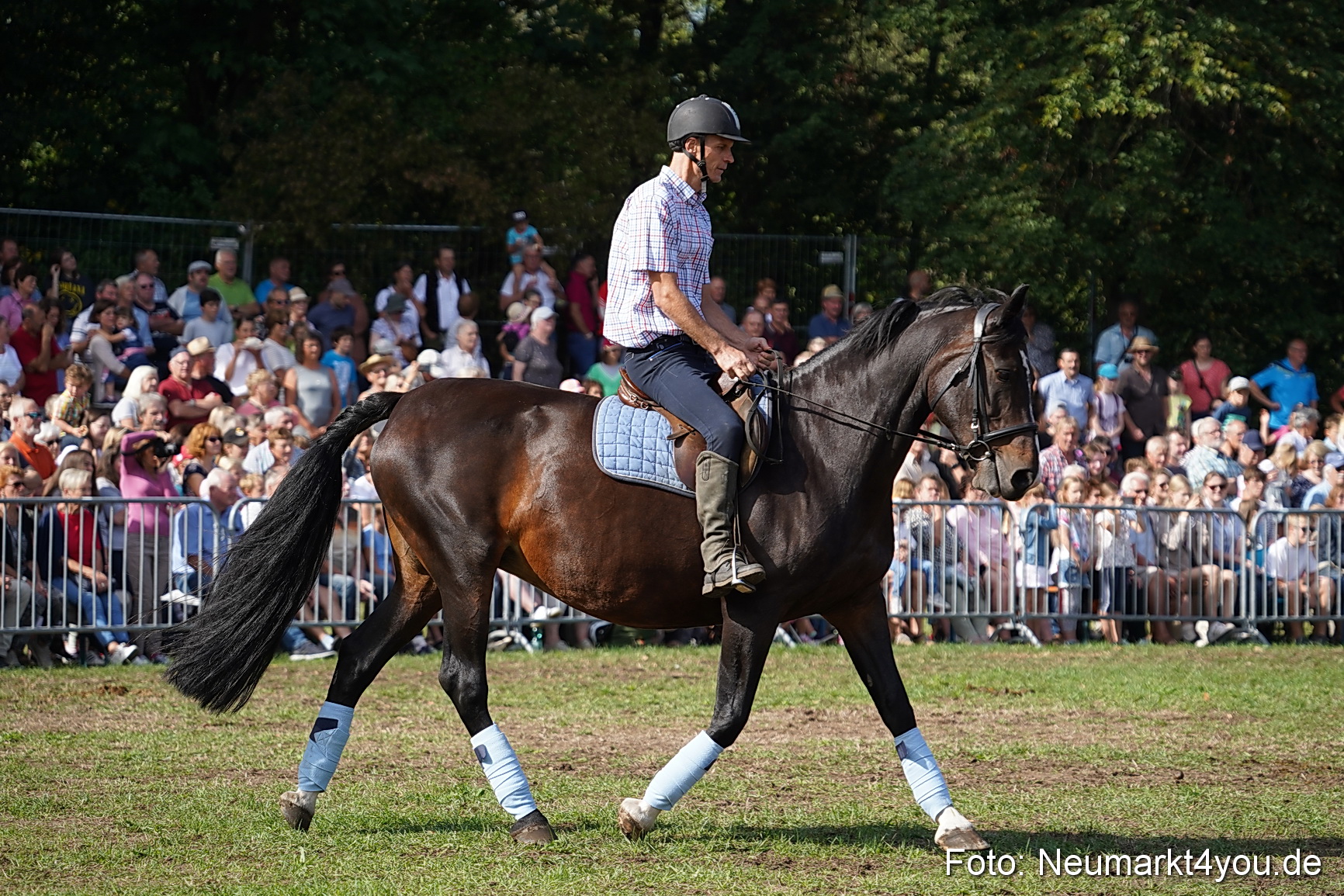 Pferde und Fohlenschau 2022 0173 